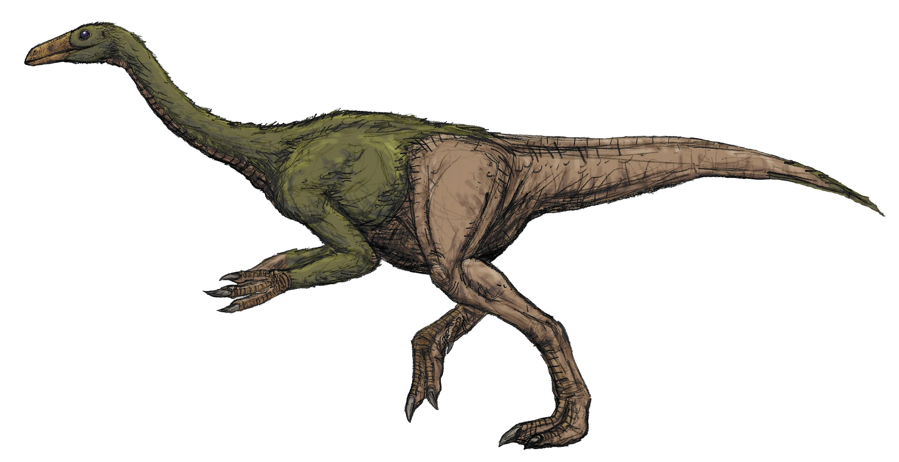 Deinocheirus mirificus dinosaur from Mongolia Gobi Desert