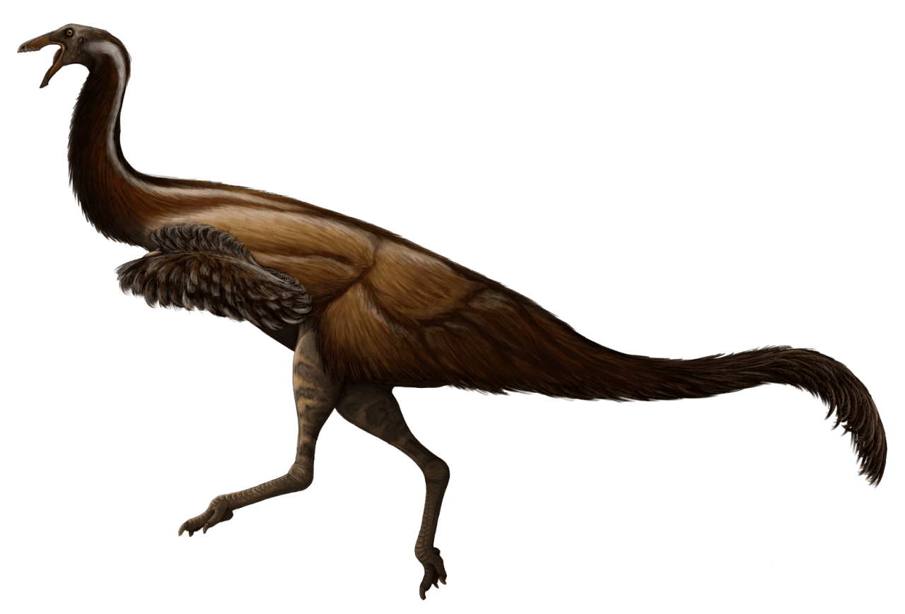 Therizinosaurus cheloniformis dinosaur from Mongolia Gobi Desert