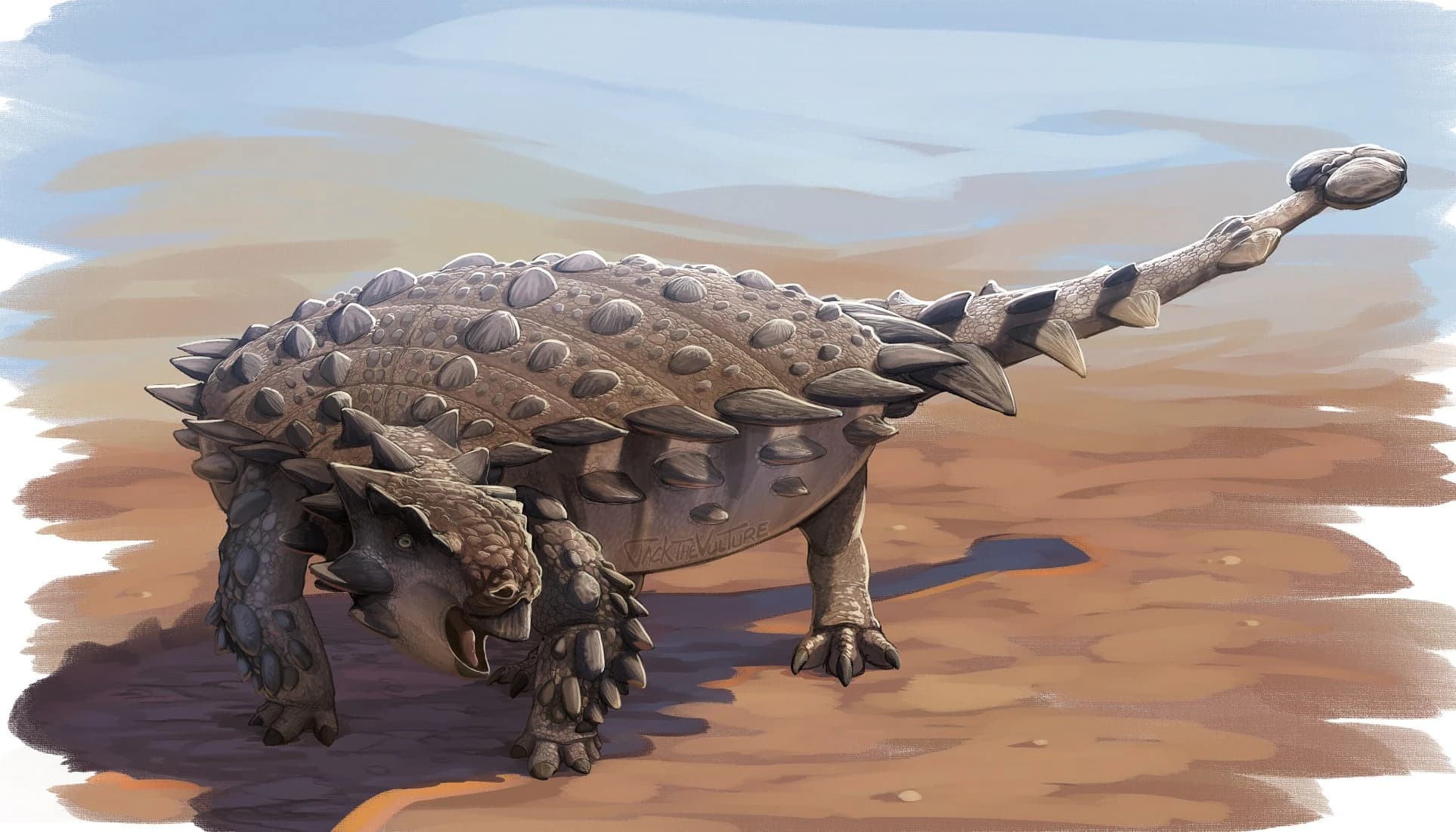 Pinacosaurus grangeri dinosaur from Mongolia Gobi Desert