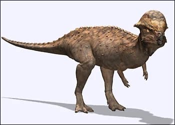 Prenocephale prenes dinosaur from Mongolia Gobi Desert