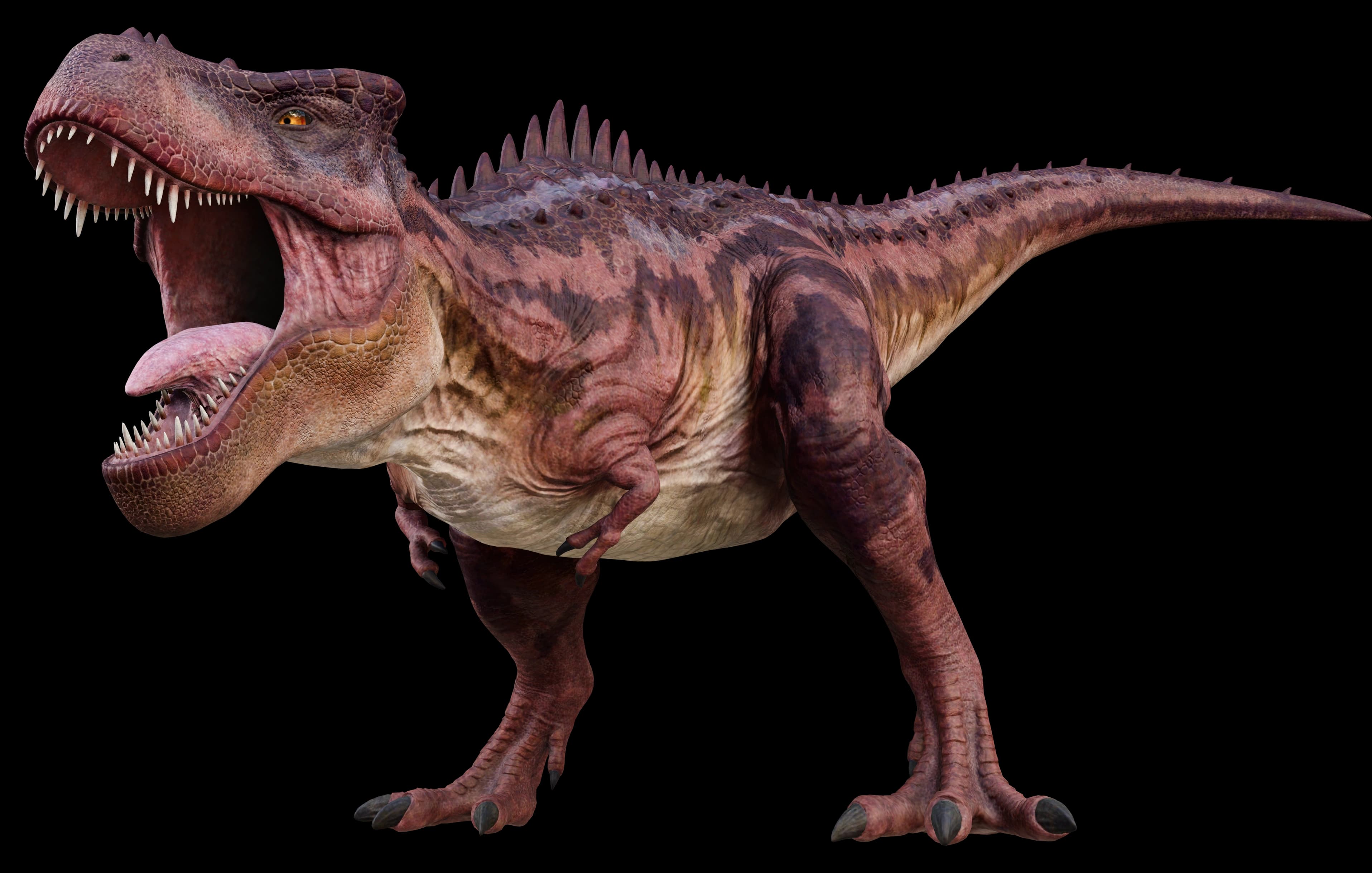Tarbosaurus bataar dinosaur from Mongolia Gobi Desert