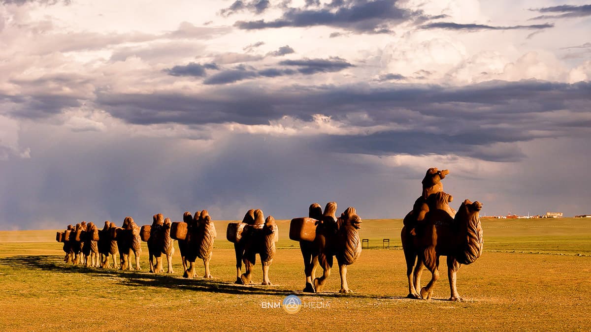 Camel Caravan 2