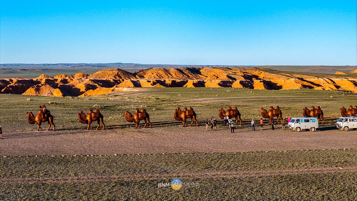 Camel Caravan 5
