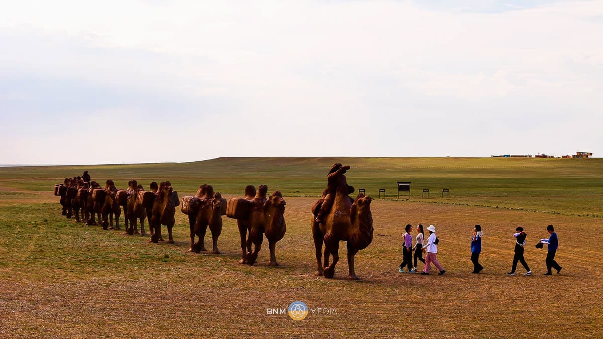 Camel Caravan 7
