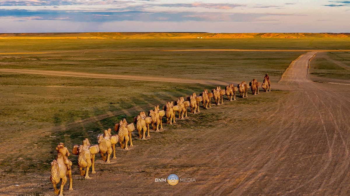 Camel Caravan 8