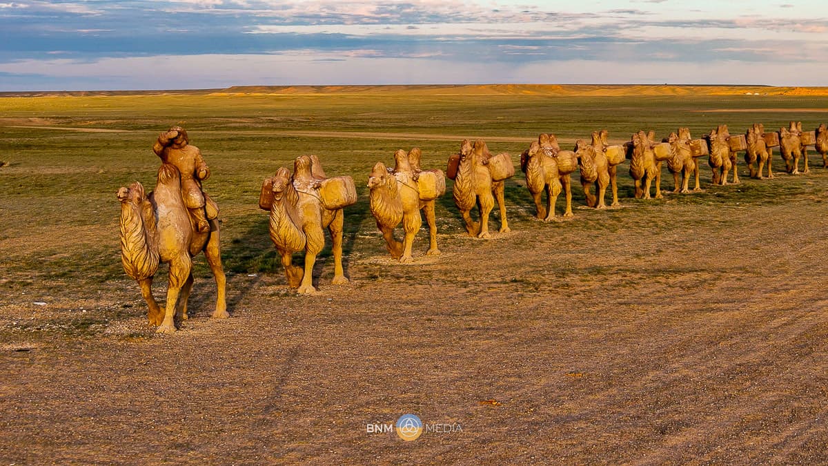 Camel Caravan 9