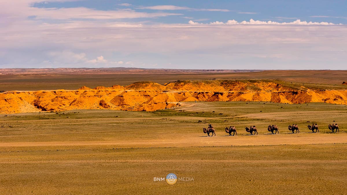 Flamming Cliffs 9