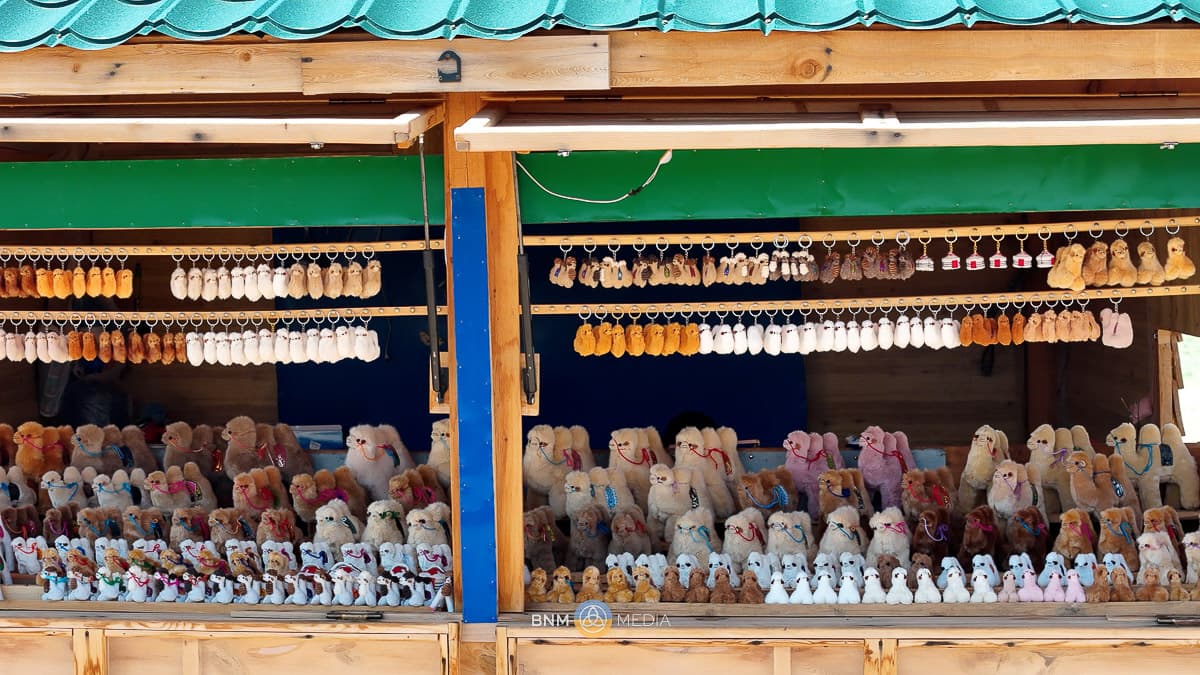 Souvenir Shop 8