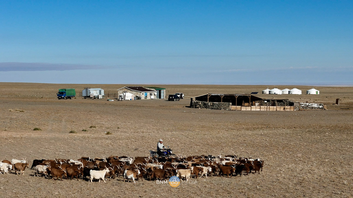 Mongol Gobi